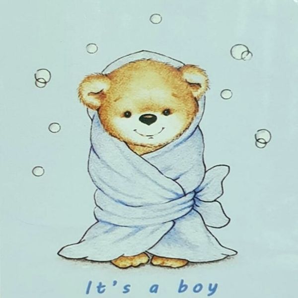 Baby Boy Soft Fleece Blanket Boxed